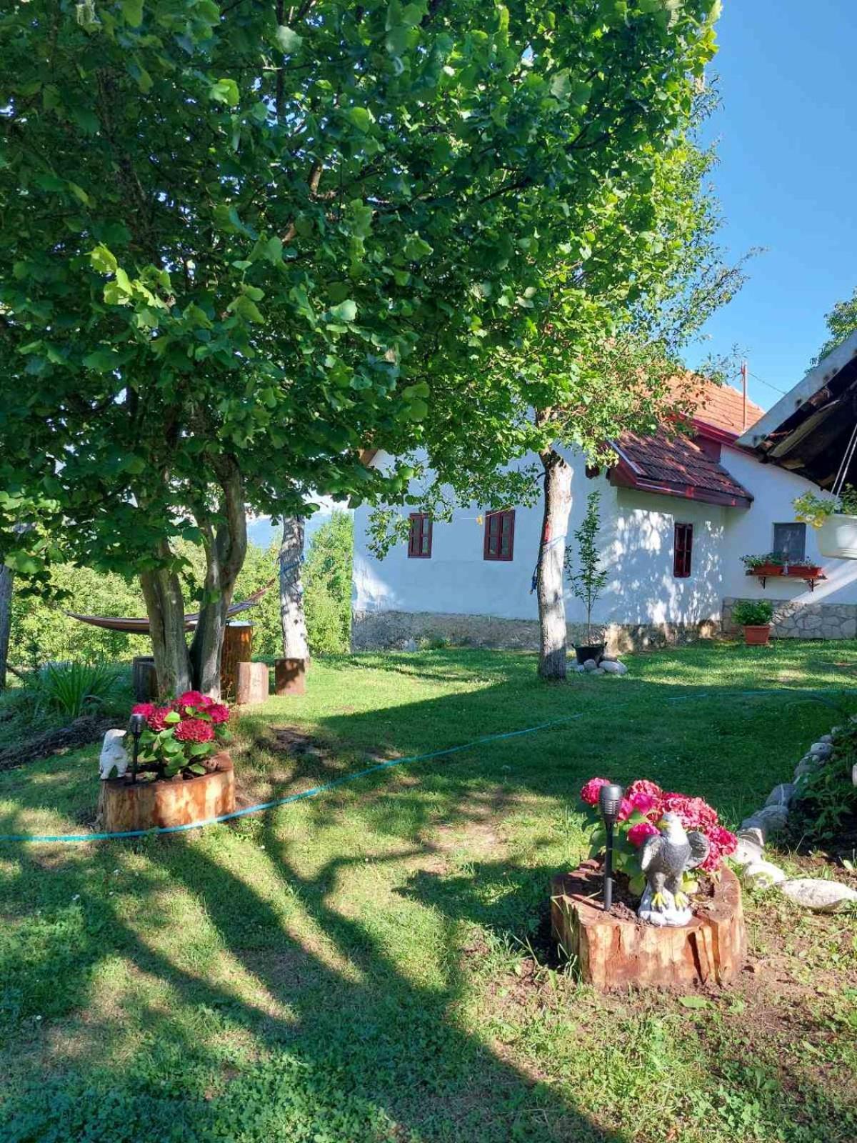 Etno Guest House Lalovic Tjentiste Esterno foto