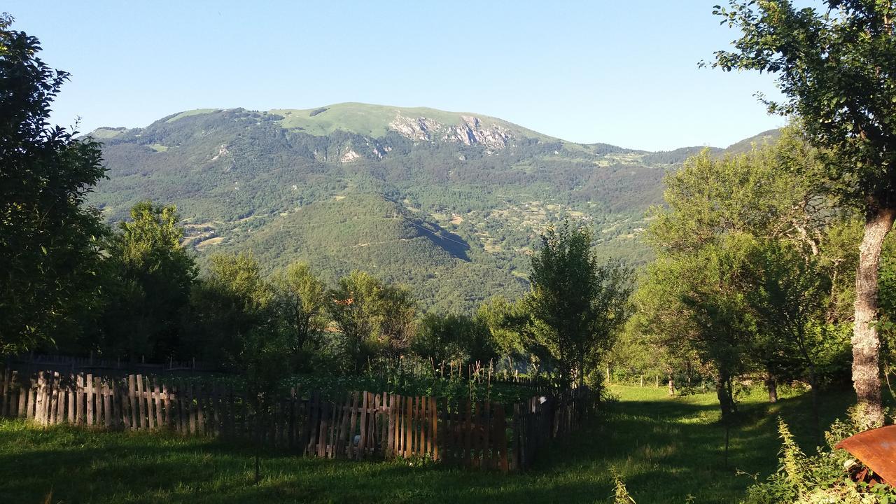 Etno Guest House Lalovic Tjentiste Esterno foto